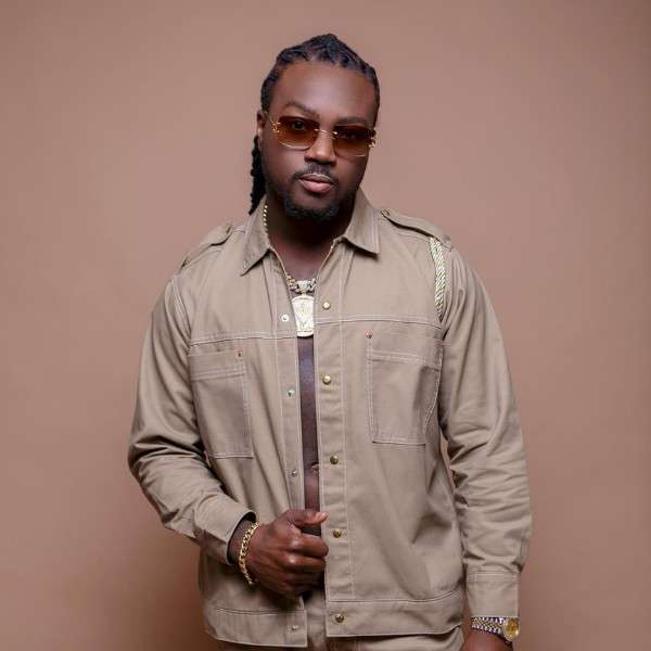 Artiste de l'année 2013